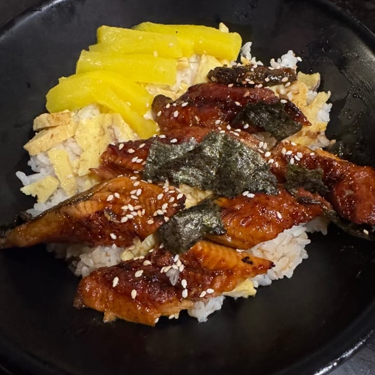 Unagi: A Japanese Treasure